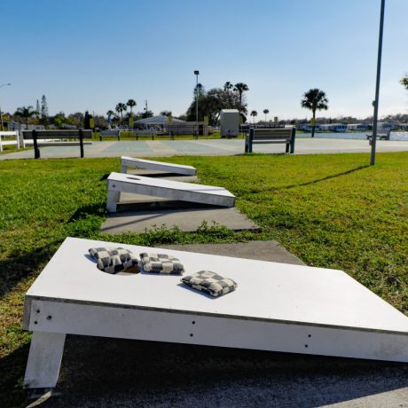 cornhole and shuffleboard