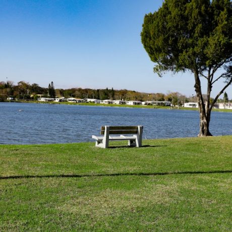bench at lake