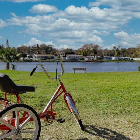 bike next to lake